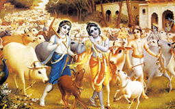 teacher image